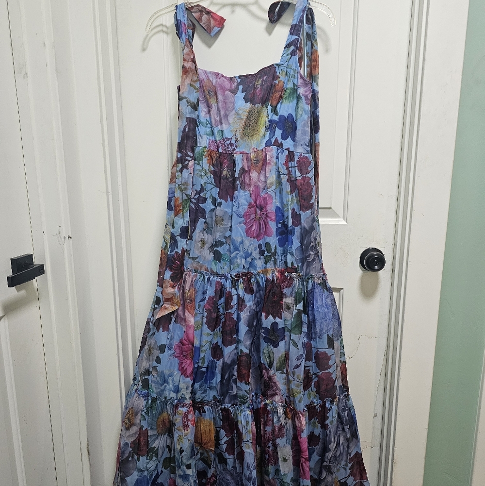Francesca's AUDREY PARKS Floral Maxi Dress in Blue and Pink